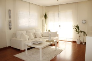 living-room rug